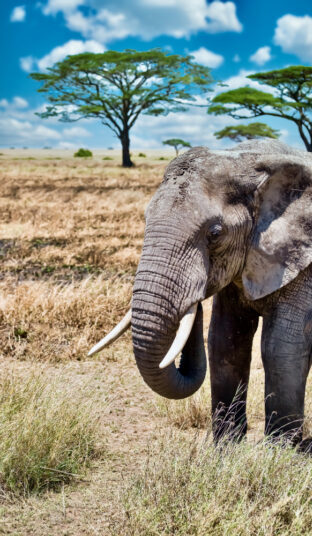 banner-image 