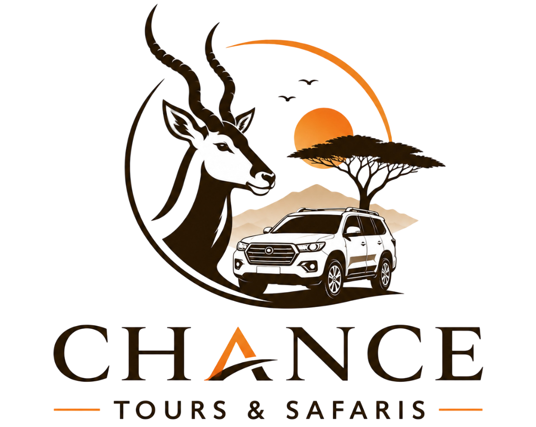 Chance Tours & Safaris